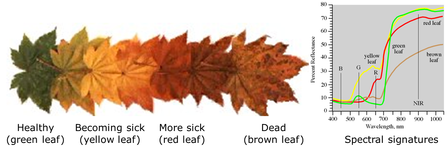 _images/Fig2_SI.png