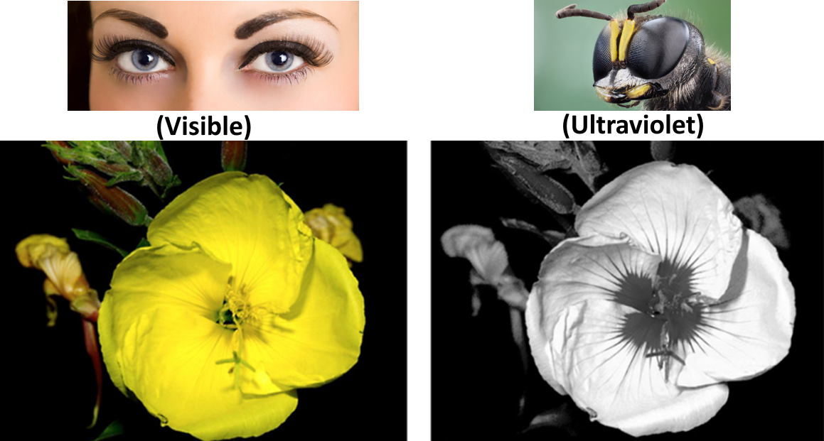_images/Fig6_SAT.png